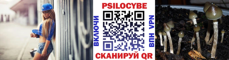 мориарти Telegram  сколько стоит  Опочка  Псилоцибиновые грибы Cubensis 