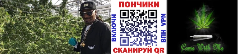 hydra рабочий сайт  Опочка  Каннабис индика  купить наркотики сайты 
